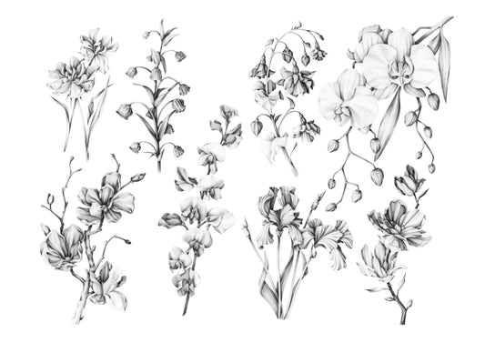 Custom Pencil Illustration